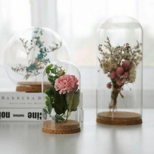 תצוגת גלובוס זכוכית כיסוי כיפת אגרטל פרחים קישוטי מתנה לעיצוב בית עץ